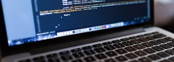 Website Design & Development